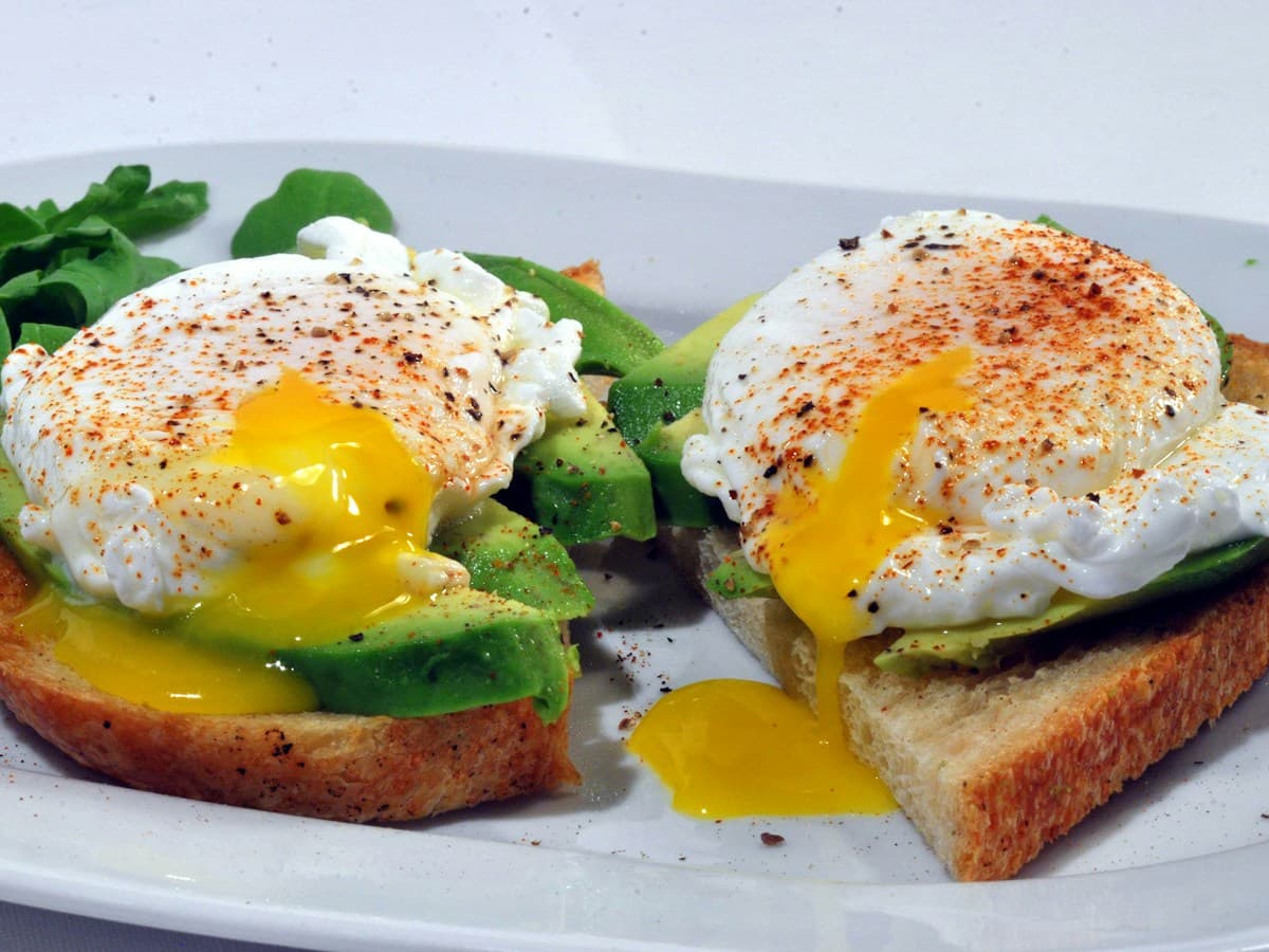 Avokado tost